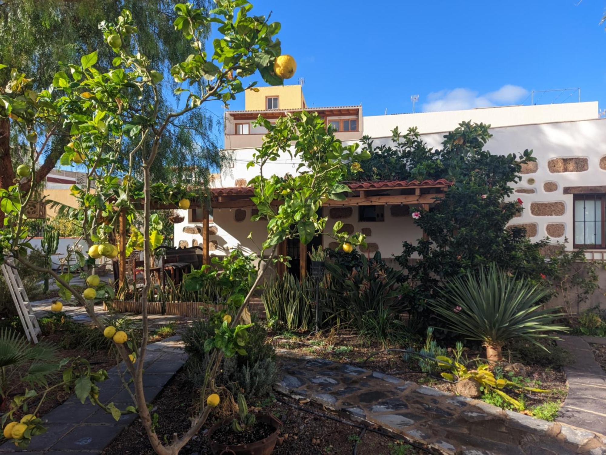 Casa Roberta Fuego Διαμέρισμα Arona  Εξωτερικό φωτογραφία